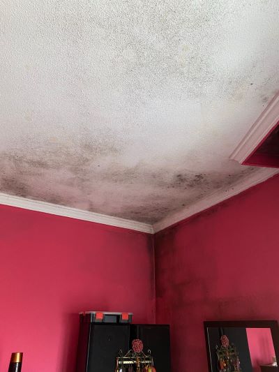 Moho en pared y techo de vivienda limpieza de moho en una vivienda