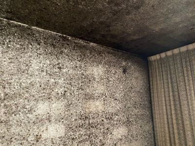 Dormitorio con moho en Cuenca Limpieza de moho en Cuenca en un dormitorio