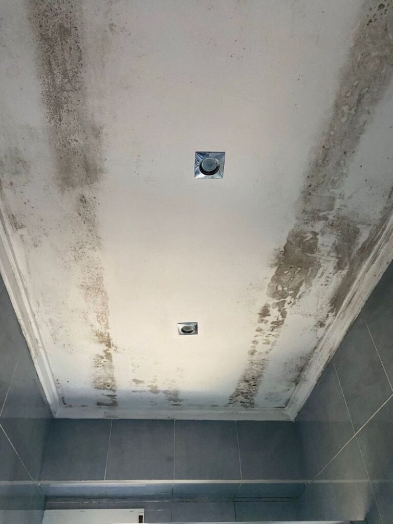 Moho baño Limpieza de moho en Alicante - techo de baño