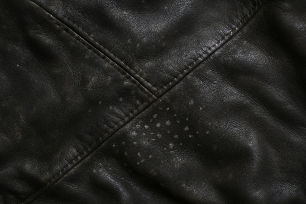 Cómo limpiar el moho del cuero Cómo limpiar el moho del cuero