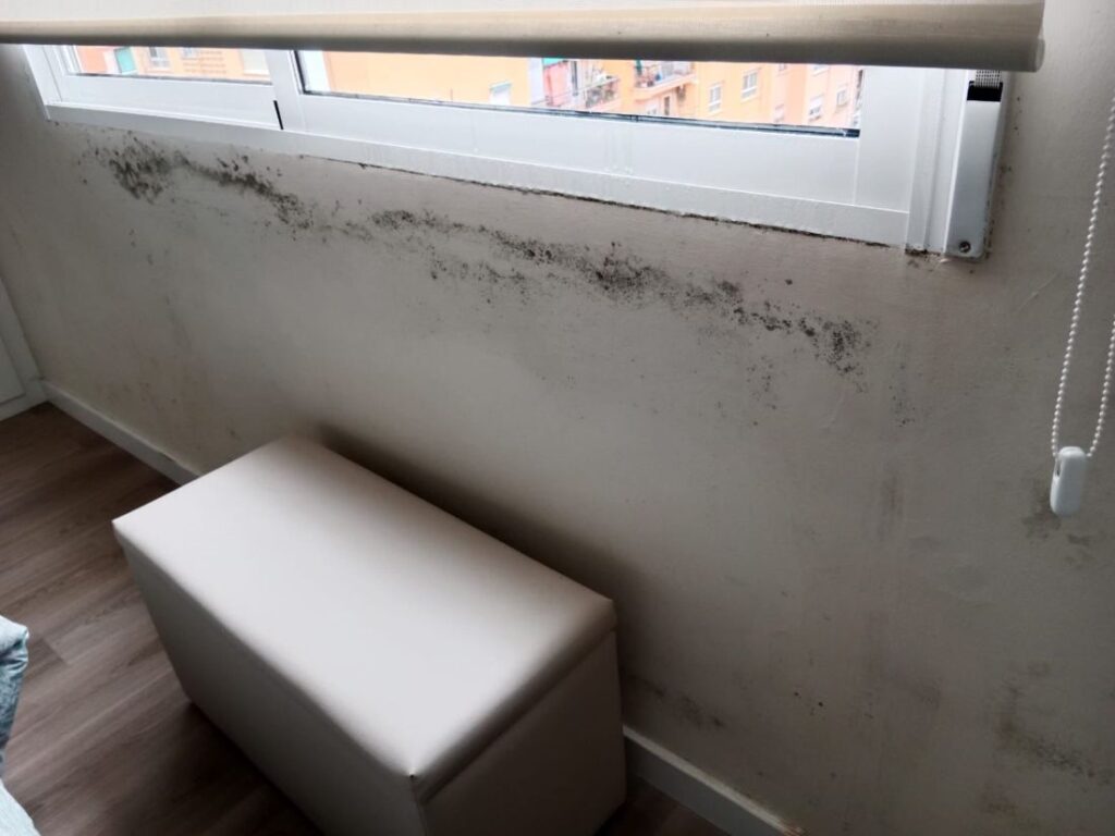 Cómo quitar el moho de las ventanas