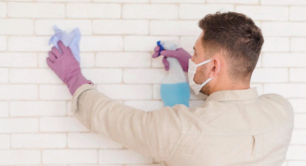 Tratamientos profesionales para eliminar el moho