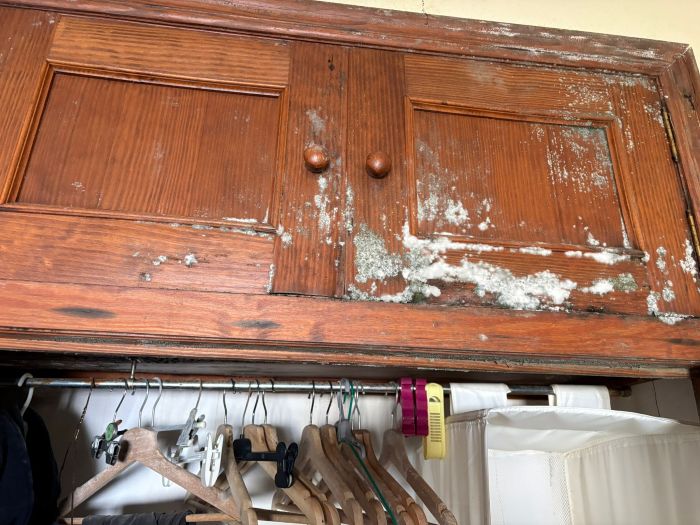 Donde afecta más el moho en España