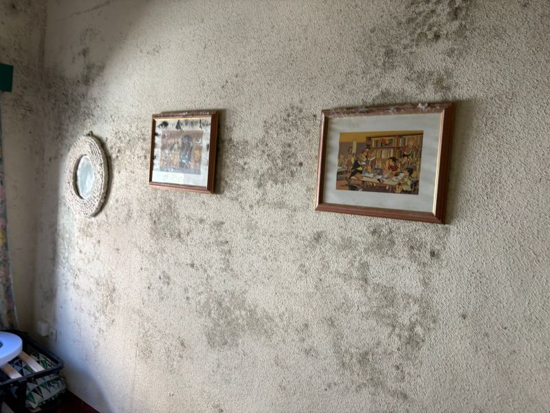 Limpieza de moho y desinfección en Zaragoza