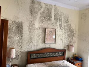 limpieza y desinfección en Barcelona