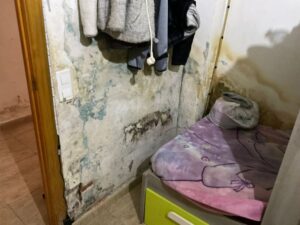 Limpiar moho en paredes