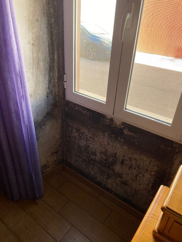 Limpieza de moho en Teruel Limpieza de moho en Teruel