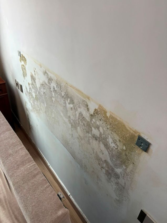 Moho por capilaridad en pared Moho por capilaridad en pared